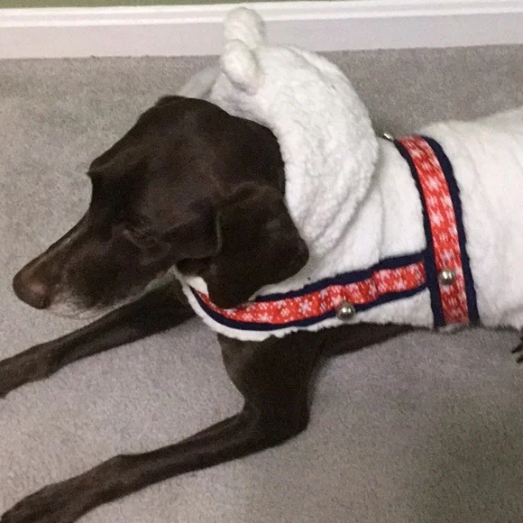 Reindeer themed sweater for dogs - Picture 2 of 4